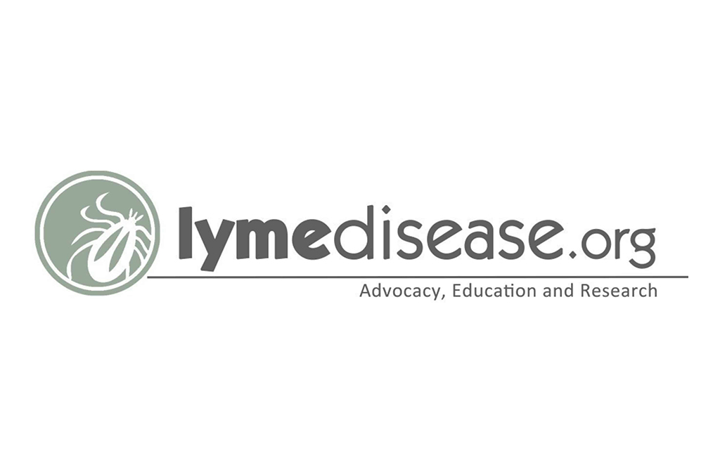 Why Lyme recovery stalls — and how healing can restart