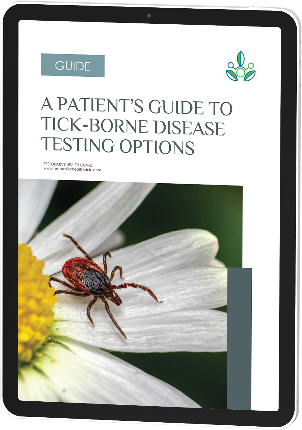 A Patient’s Guide to Tick-Borne Disease Testing
