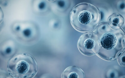 Histamine Intolerance VS Mast Cell Activation Syndrome