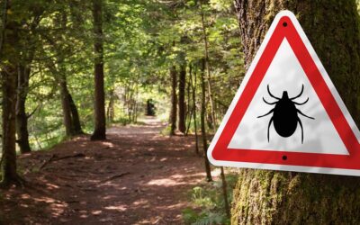 Lyme Disease and the Heavy Metal Threat