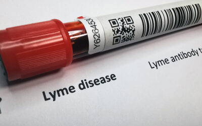 Is Lyme Disease Sexually Transmitted?