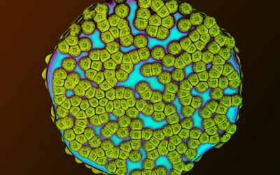 What is Mast Cell Activation Syndrome