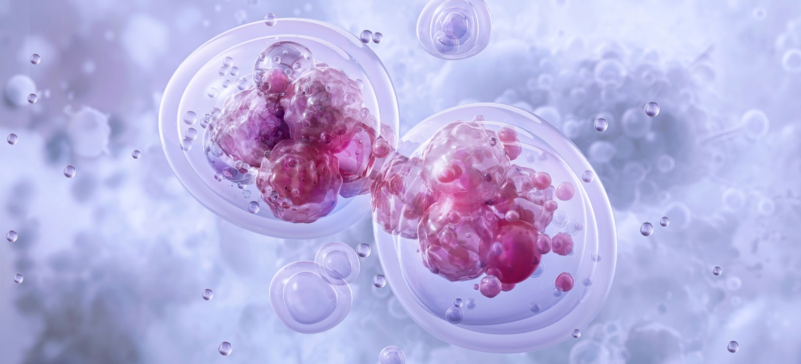 acute inflammation in cell
