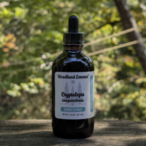 Cryptolepis 4oz