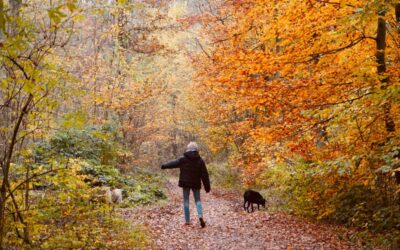 Mitochondrial Health: The Key to Energy, Longevity, and Resilience