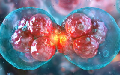 What Causes Cellular Inflammation? The Hidden Triggers Affecting Your Health