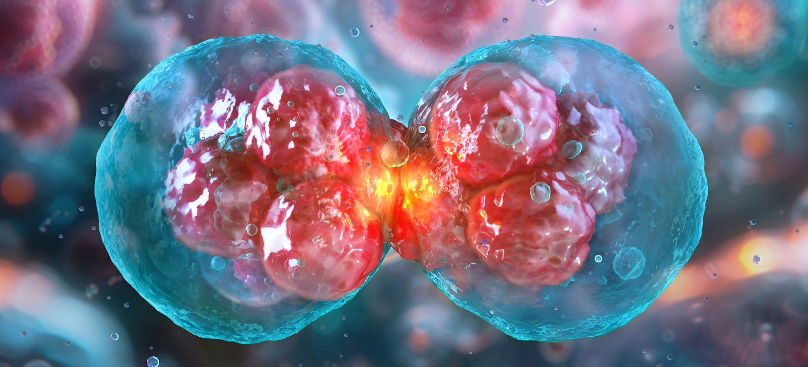 inflammatory response in cell