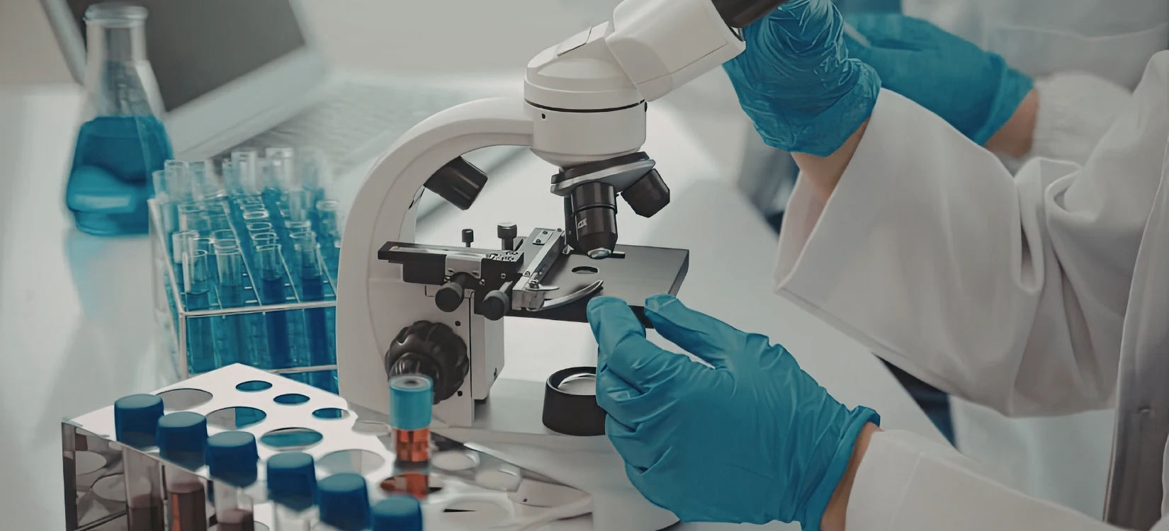 Laboratory Lyme Disease Testing