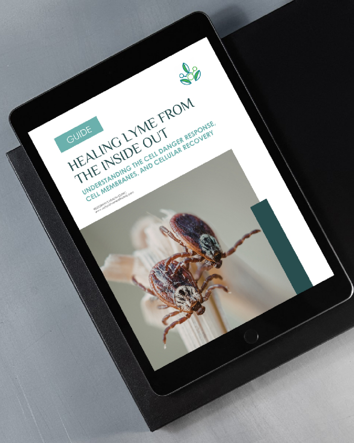 Healing Lyme from the Inside Out<br />
