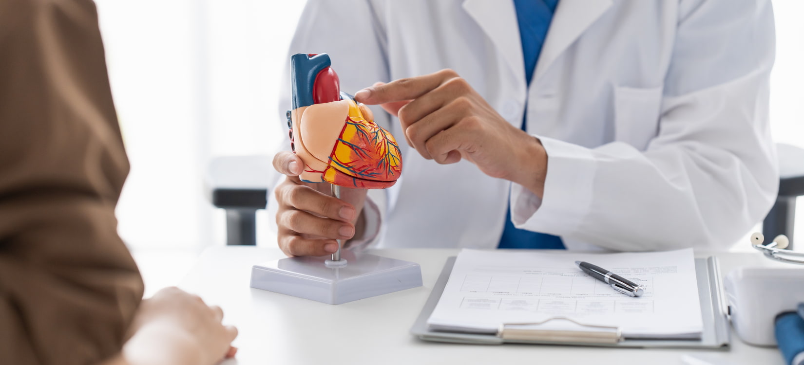 pots cardiologist heart model medical history cardiovascular